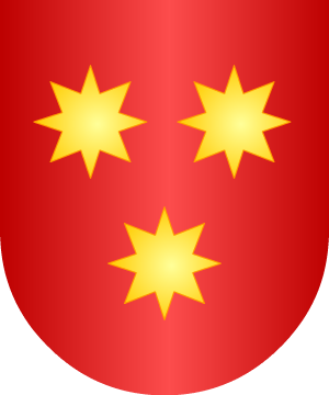 ESCUDO SIGUIENTE